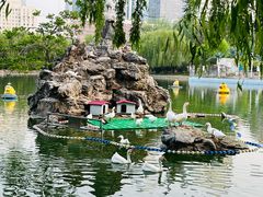 -团结湖公园