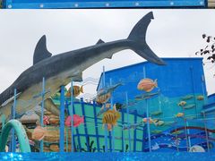 -海合安武汉极地海洋公园
