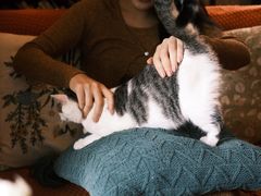 -豌豆小院咖啡馆