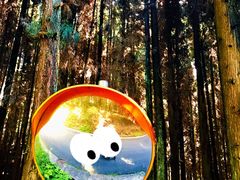 -山王坪喀斯特国家生态公园