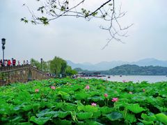 -西湖游船
