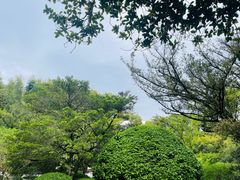-汇龙潭