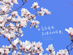 -大宁公园