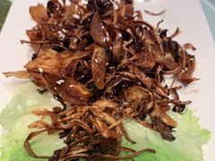 和味百灵菇-老洋房花园饭店(绍兴路店)