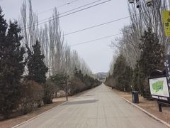 -乌素图国家森林公园