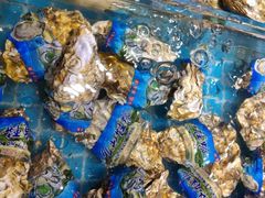 -梦都海鲜酒家(万达广场江桥店)