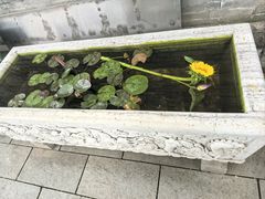 -护国法轮寺