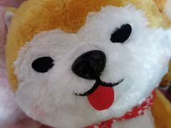 -LLJ夹机占(清河万象汇店)