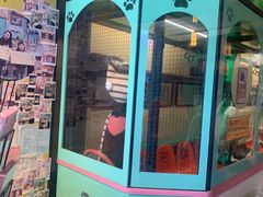 -猫咪博物馆(顶澳仔猫街店)