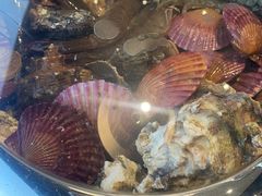 -大锅强·蒸海鲜青岛菜(金沙滩店)