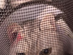 -顺强宠物诊所·狂犬免疫·夜诊·骨科(嘉定店)