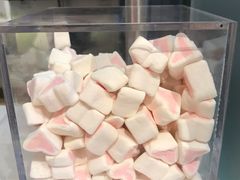 自助棉花糖-狐狸和向日葵(北京路店)