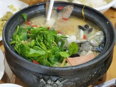 -老字号怡玺·藿香雅鱼(20年雅安店)