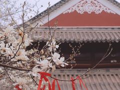 -长春观