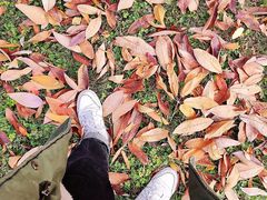 -长安大学(北校区)