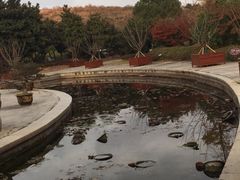 -白马涧龙池景区