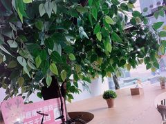 -THE ALLEY 鹿角巷(华润万象城店)