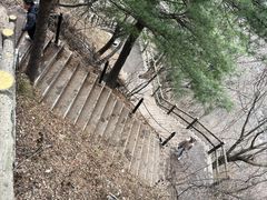 -王顺山国家森林公园