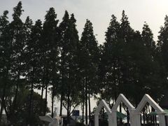 -太阳岛度假酒店