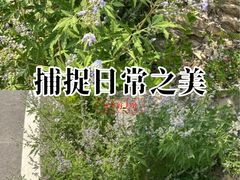 -佛慧山
