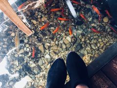 -颐和•海鲜砂锅粥•啫啫煲(奥林匹克广场店)