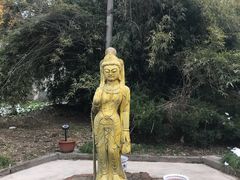 -上海青龙寺