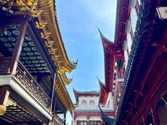 -上海置地广场(南京东路店)