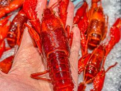 -舞虾小说.涮肉.烧烤(国顺东路店)