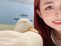 -RU DUCK柯尔鸭公社·撸鸭俱乐部·羊驼·小香猪
