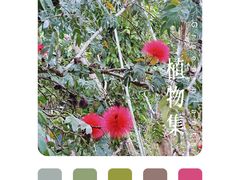 -中国科学院西双版纳热带植物园