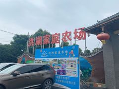 -洪湖家庭农场·团建·露营·会议
