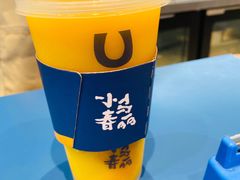 -春丽小马(济南恒隆广场店)
