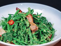 丝瓜尖拌赤贝肉-渔娘渔家丹东海鲜(东直门店)