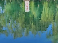 -阳光家常菜(泉城路店)