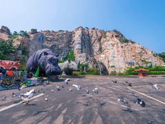 -西霞口神雕山野生动物世界