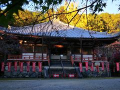 -醍醐寺