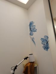-DEM缔怡美科技美容