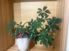 -Fun Job Art 零基础油画国画DIY画室(望京店)