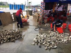 -蚝专家(北滘店)