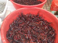 -青石桥市场北1-27号