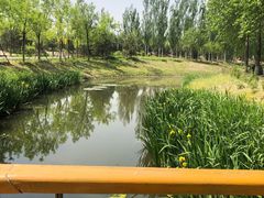 -东郊湿地公园