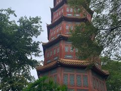 -房湖公园