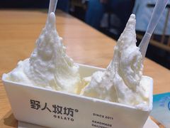-野人牧坊Gelato(苏州中心店)