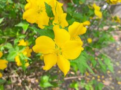 -前小桔亲子创意农场·草莓采摘·露营烧烤