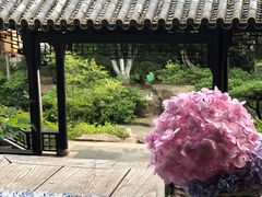 -虞山城墙