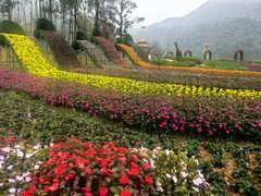 -广州市石门国家森林公园