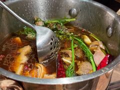 -蘑界·野生菌火锅(深业上城店)