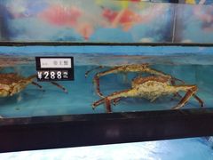 -亚龙湾中心广场