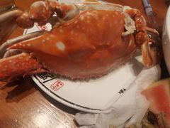 螃蟹-渔家风味·鲅鱼水饺·央视展播·海鲜天津菜(开发区店)