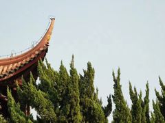 -苏州文庙(姑苏区)